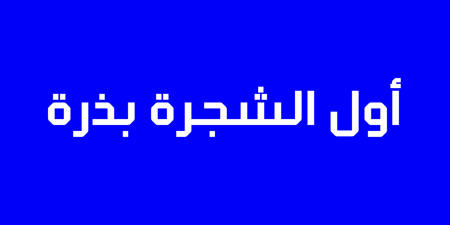 Klapt Arabic Medium Font preview